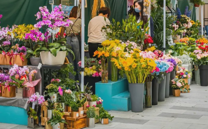 又见燕舞花开水街春日市集即将上线
