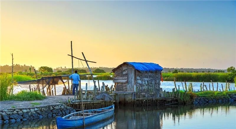 农村自主创业项目 不想在城市折腾，回农村自主创业，有哪些可行的项目？农村创业