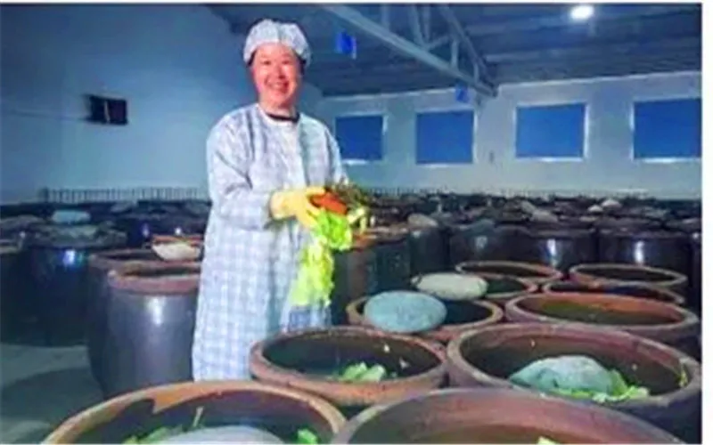 小投资创业项目小吃_农村创业项目办小吃厂_农村创业项目 农村致富项目