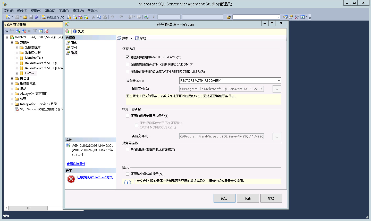 设置还原文件选项
