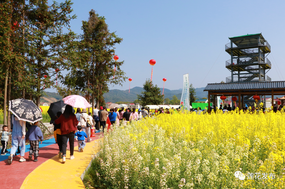 萍乡莲花油菜花节图片