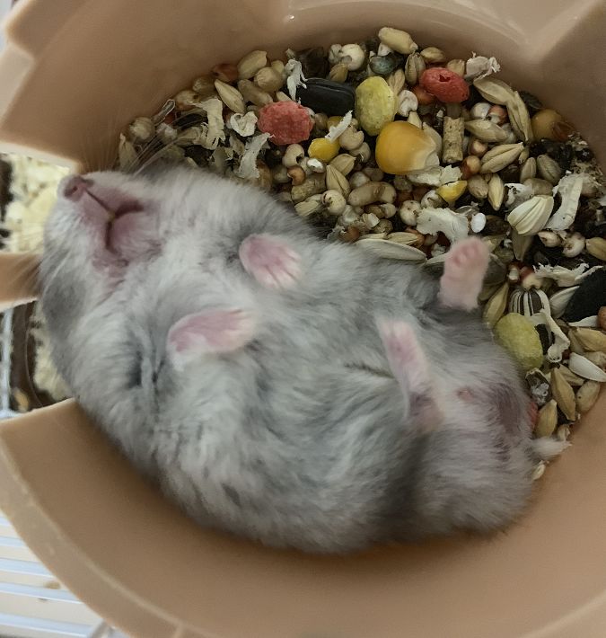 640?wx_fmt=png&tp=webp&wxfrom=5&wx_lazy=1&wx_co=1