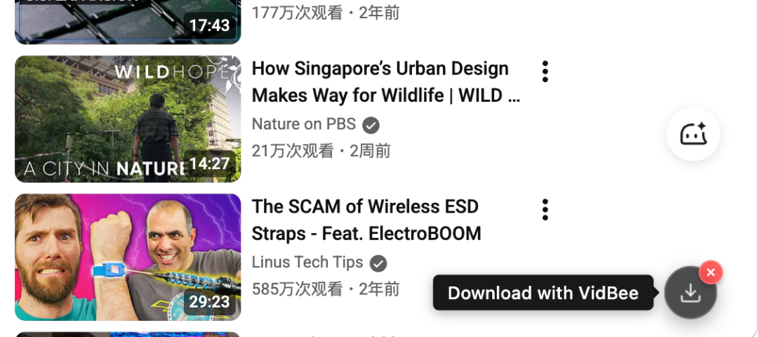 VidBee Browser Script