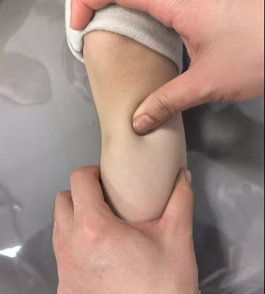 ͼƬ
