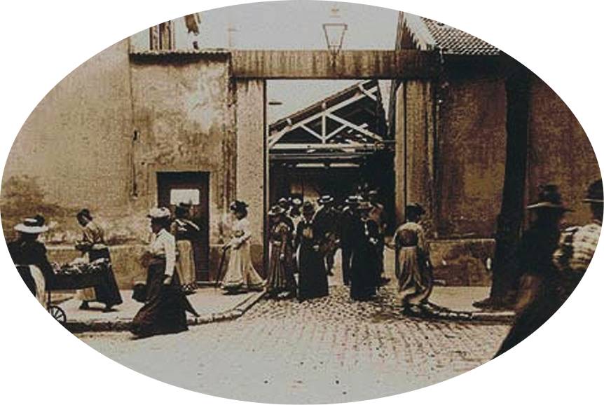 国际观察电影资料馆的独门绝技最有电影感的电影节