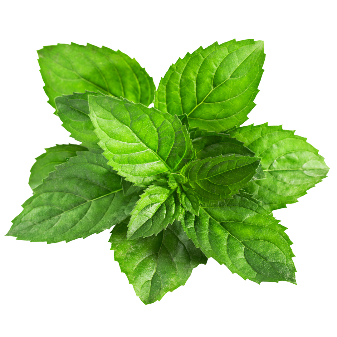 电商美工设计资源【第027期】 100多张产品成分PNG免抠素材