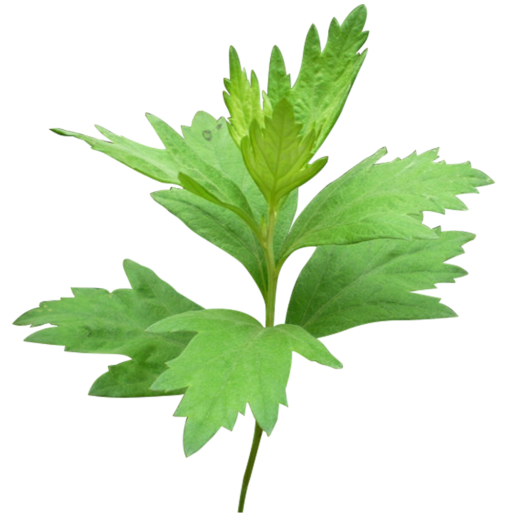 电商美工设计资源【第027期】 100多张产品成分PNG免抠素材