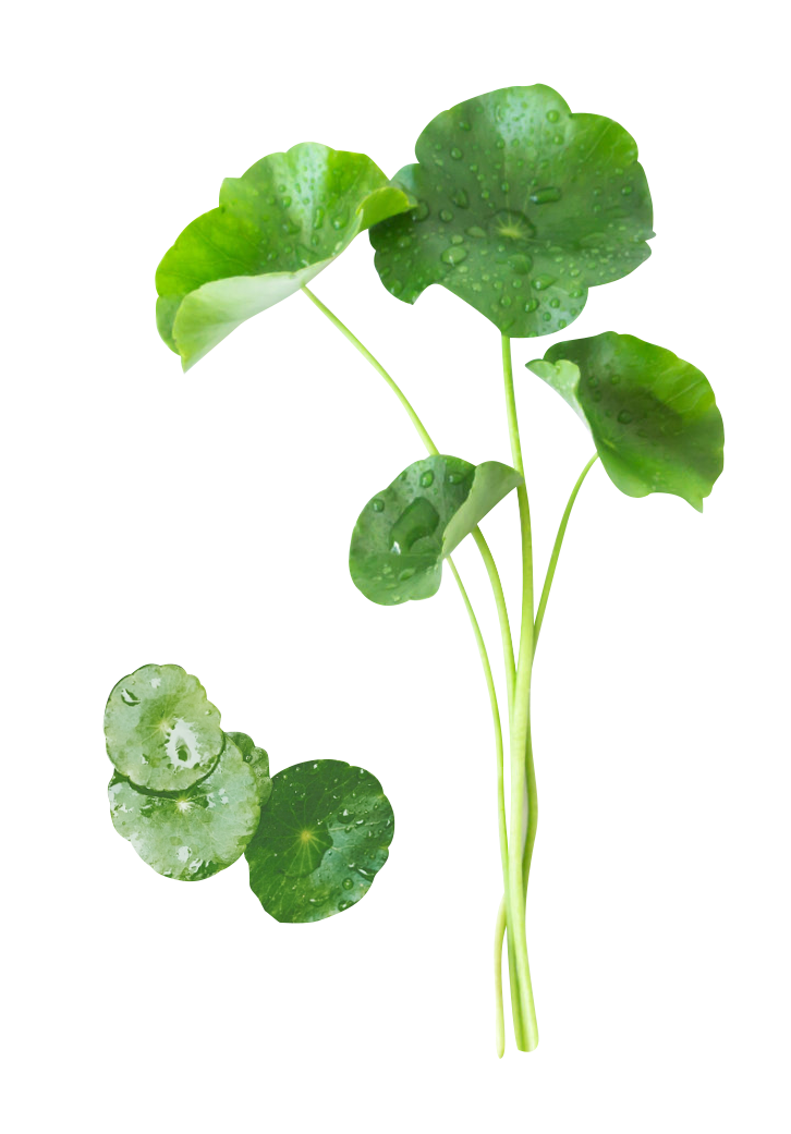 电商美工设计资源【第027期】 100多张产品成分PNG免抠素材