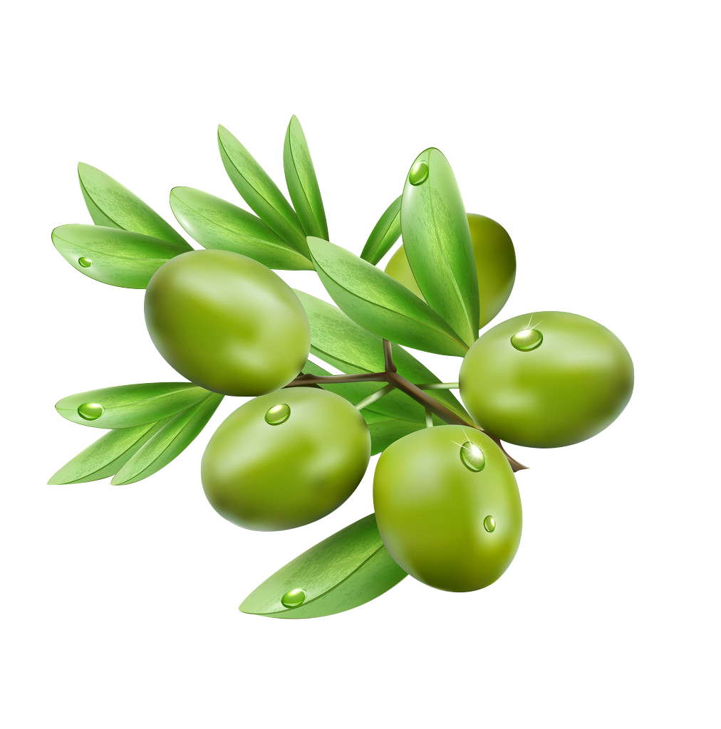 电商美工设计资源【第027期】 100多张产品成分PNG免抠素材