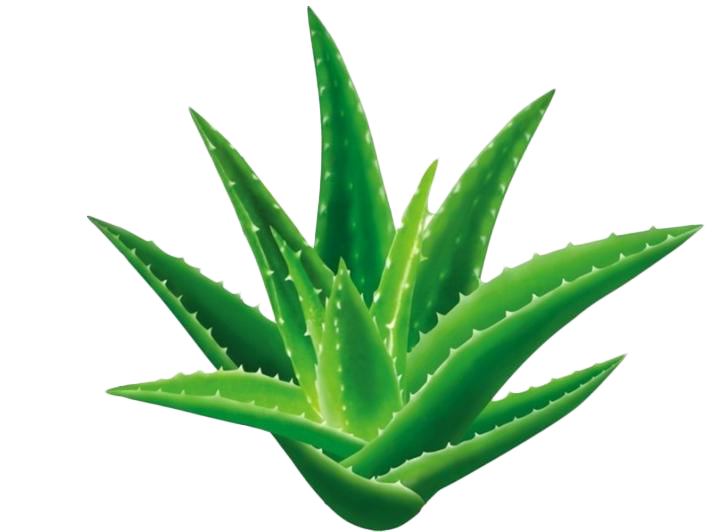 电商美工设计资源【第027期】 100多张产品成分PNG免抠素材