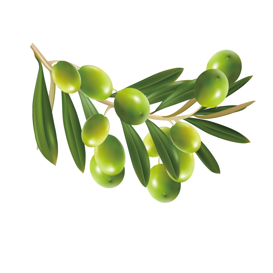 电商美工设计资源【第027期】 100多张产品成分PNG免抠素材