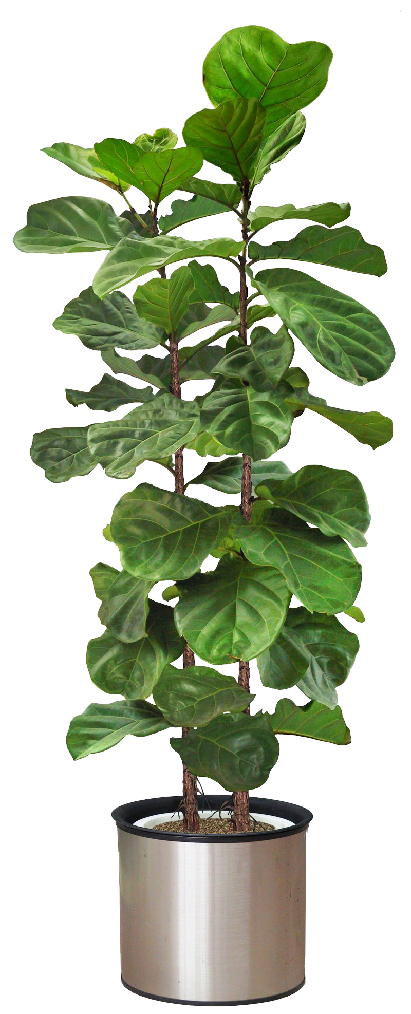 电商美工设计资源【第023期】 300多张PNG免抠北欧风格装饰素材