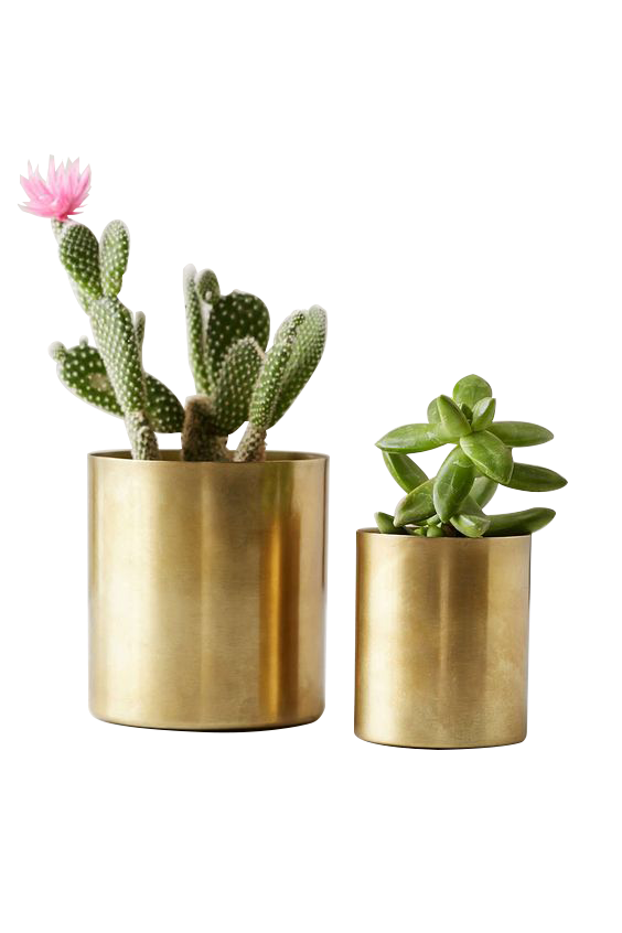 电商美工设计资源【第023期】 300多张PNG免抠北欧风格装饰素材