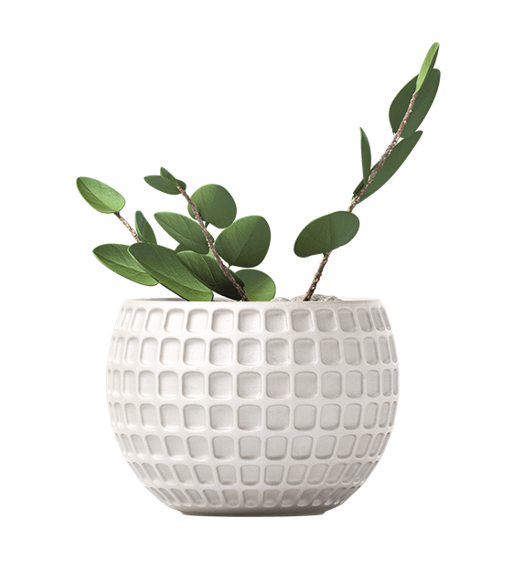 电商美工设计资源【第023期】 300多张PNG免抠北欧风格装饰素材