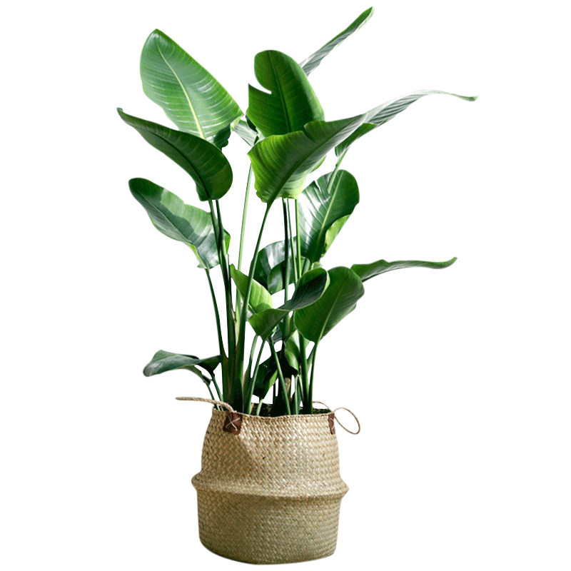 电商美工设计资源【第023期】 300多张PNG免抠北欧风格装饰素材