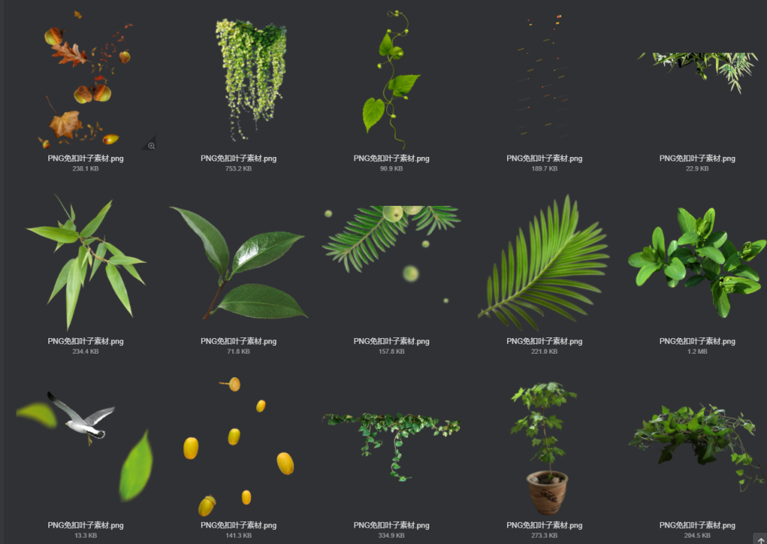 电商美工设计资源【第009期】600多张PNG免扣叶子素材