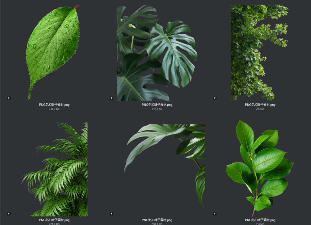 电商美工设计资源【第009期】600多张PNG免扣叶子素材