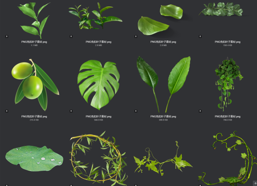电商美工设计资源【第009期】600多张PNG免扣叶子素材