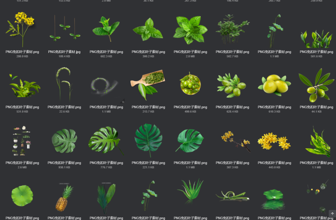 电商美工设计资源【第009期】600多张PNG免扣叶子素材