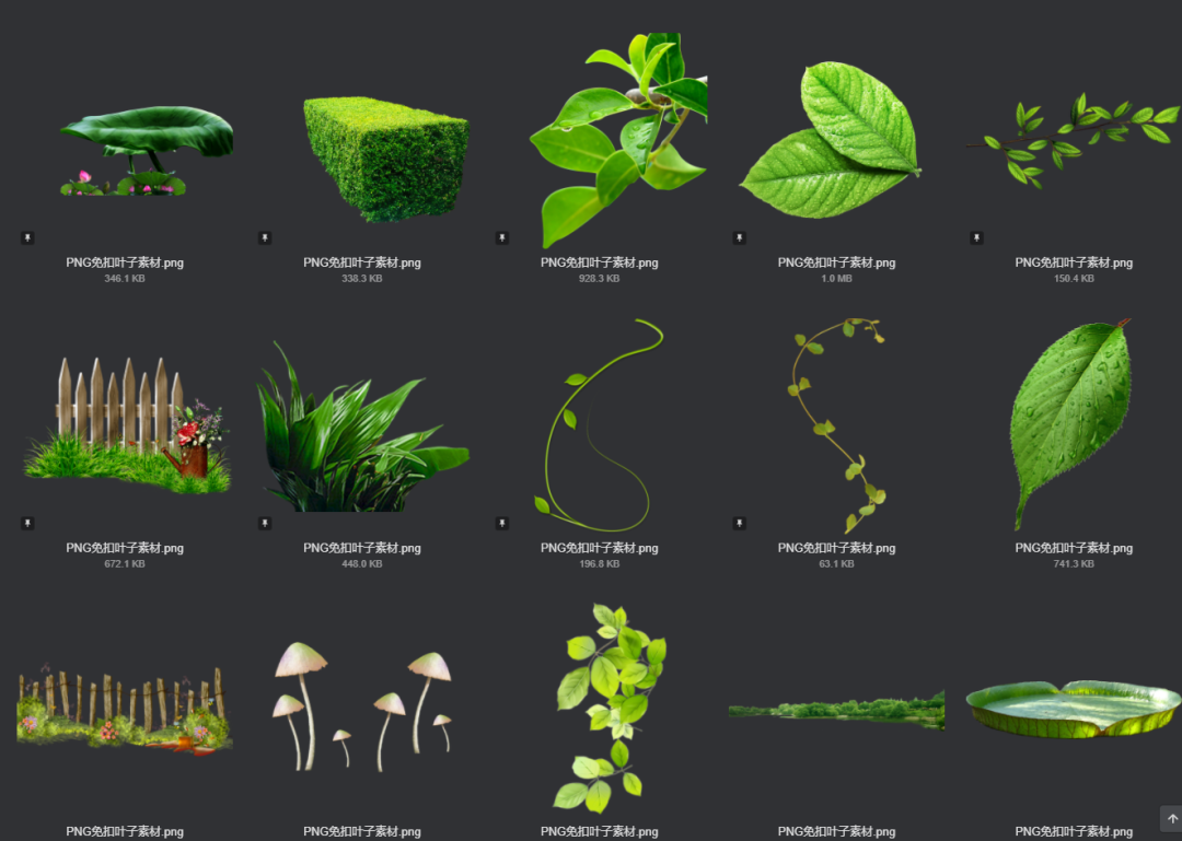 电商美工设计资源【第009期】600多张PNG免扣叶子素材