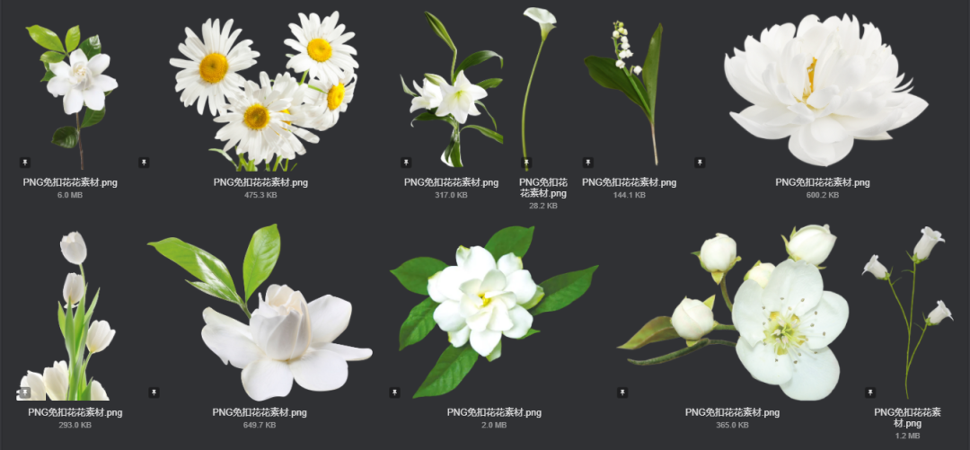 电商美工设计资源【第011期】 400多张 PNG免扣花花素材