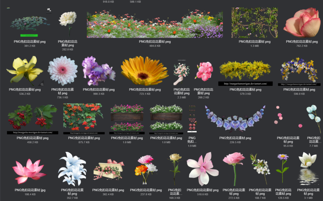 电商美工设计资源【第011期】 400多张 PNG免扣花花素材