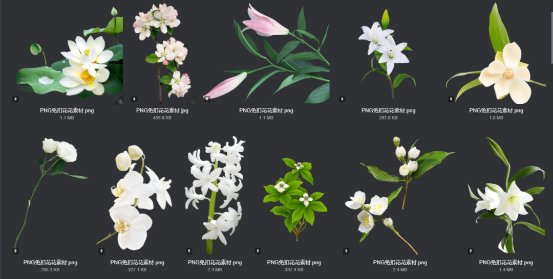 电商美工设计资源【第011期】 400多张 PNG免扣花花素材