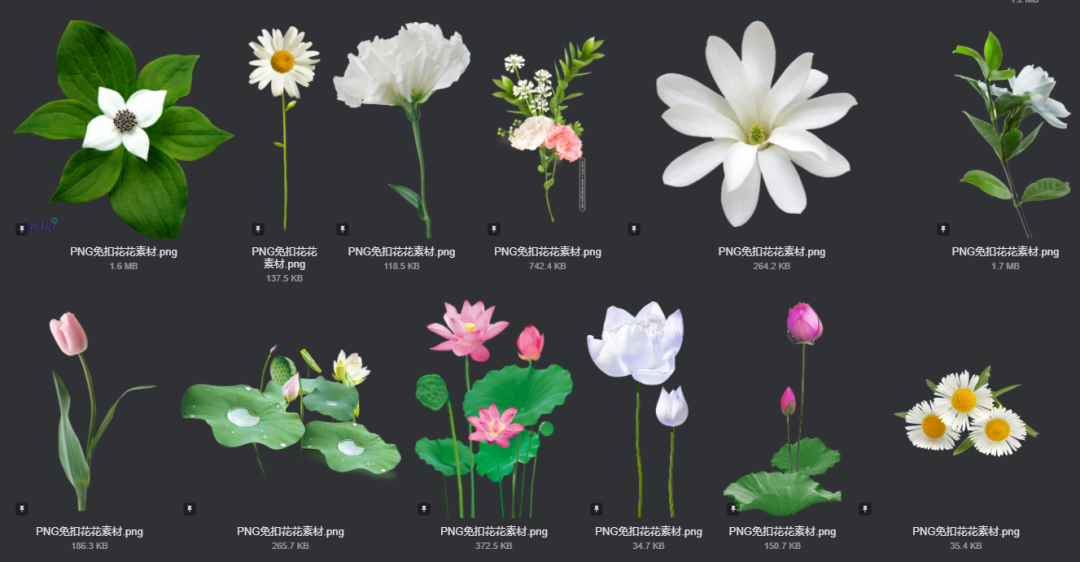 电商美工设计资源【第011期】 400多张 PNG免扣花花素材