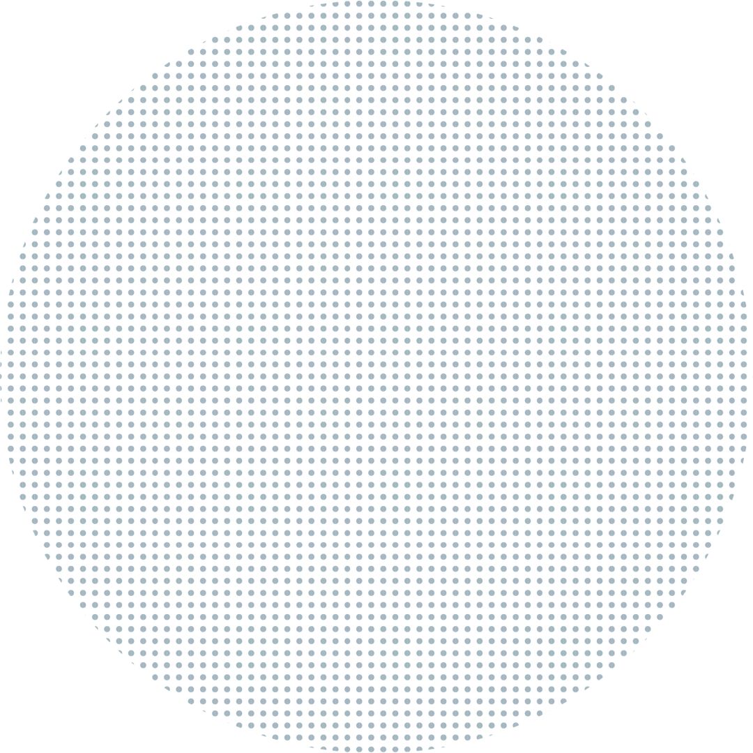 正念 此刻是一枝花_正觉正念是什么意思_正念是什么意思