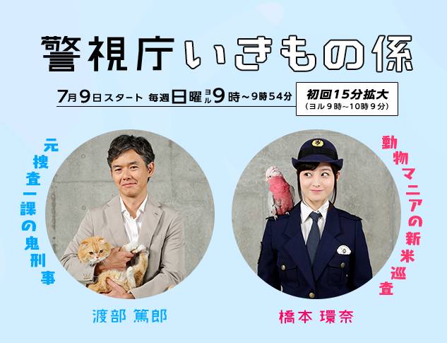 千年美少女 橋本環奈小惡魔和渡部篤郎 共演的刑偵劇開播了 Bilibili老司機 微文庫