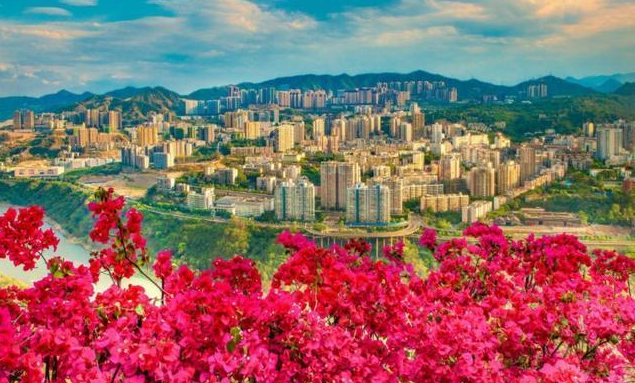 风热风寒辨别清，中药方剂来帮您！