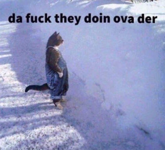 你是前端开发还是后端开发？