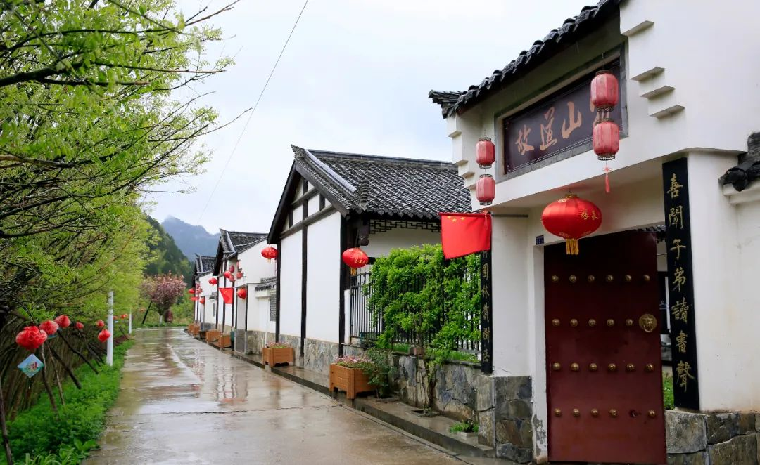 【回顾2022】践行"两山"理论 擦亮发展底色丨杨店镇生态环保工作侧记