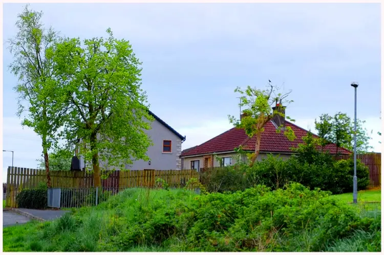 如何打造数字乡村？这些国内外经典案例值得借鉴(图2)