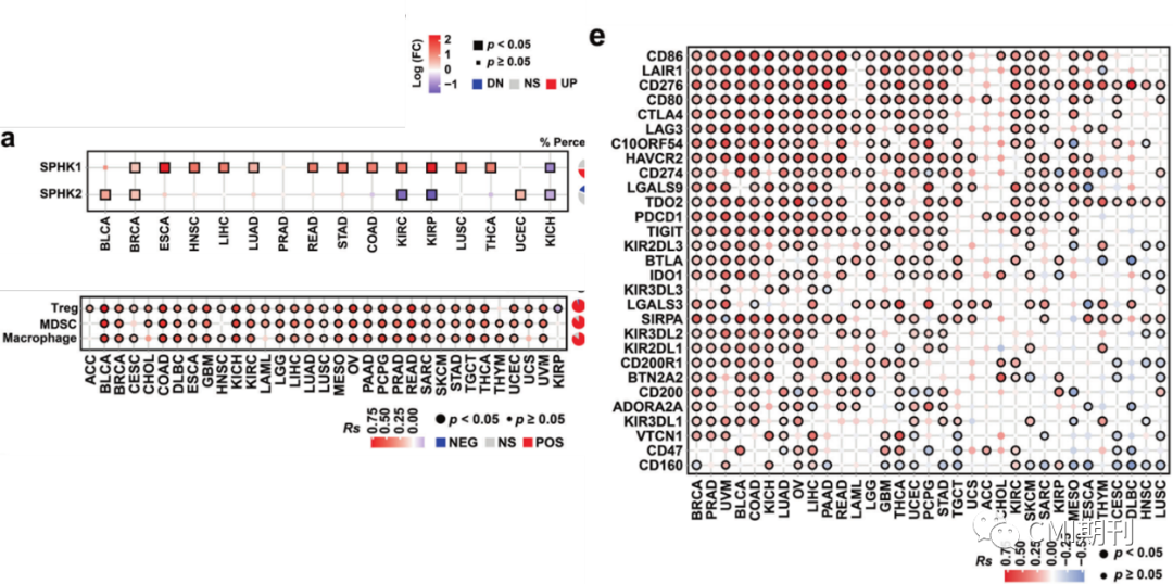 sp管在医学上什么管湘雅医学院刘洪教授在CMI发文，发现SPHK1-MTA3-PD-L1信号轴促进肿瘤免疫逃逸_https://www.jmylbn.com_新闻资讯_第2张