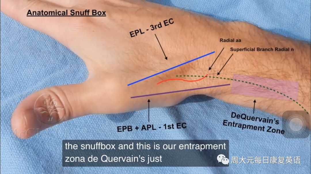 每日康复英语倒数第967期 桡骨茎突狭窄性腱鞘炎的手术视频 周大元每日康复英语 微信公众号文章阅读 Wemp