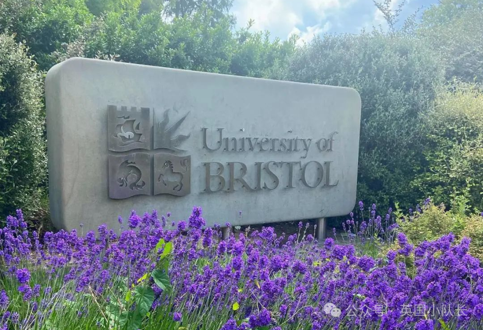 布里斯托大学薰衣草-Ins.png
