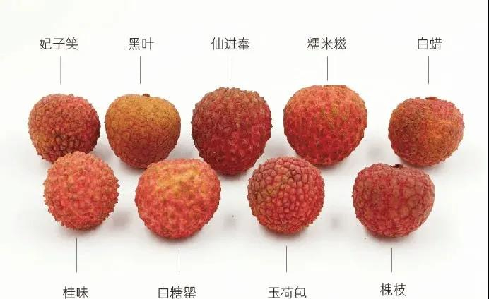 【每日内涵图精选】你自己擦擦,我有事先走了 - 内涵社 - 微信公众号