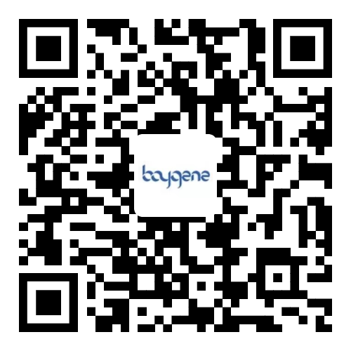 Baygene.png