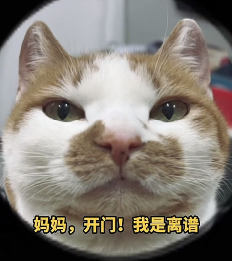 降本增笑？！AI花生上树，良品铺子翻车了。。。