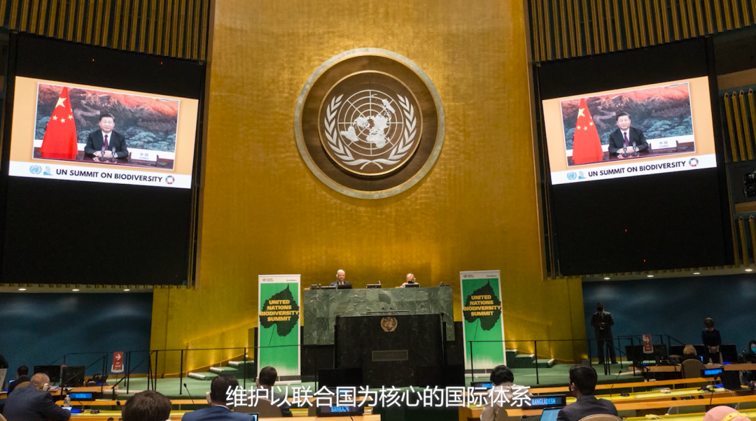 这就是中国的选择!-微信头条网 这就是中国的选择!