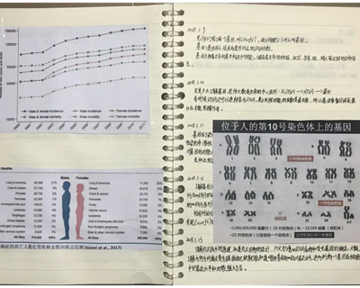 小学生研究癌症获全国大奖？官方回应来了！