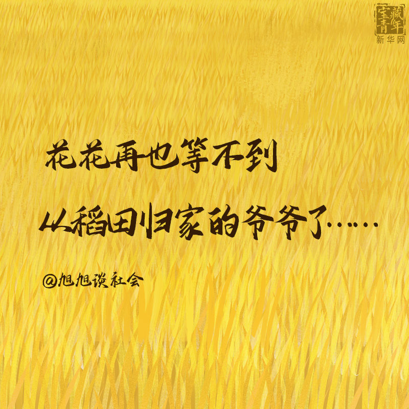 袁隆平院士逝世一周年，这30句话是我们对袁爷爷最深的思念！