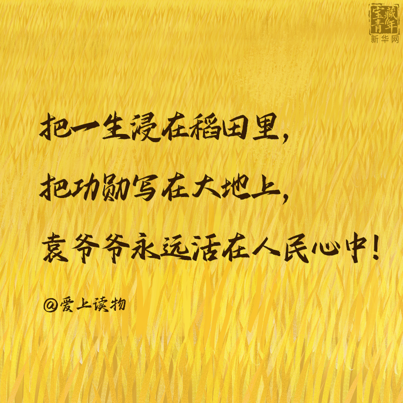 袁隆平院士逝世一周年，这30句话是我们对袁爷爷最深的思念！