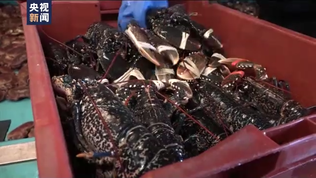 法渔业争端持续升级 英外交大臣要求法国48小时内收回威胁