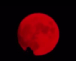 美国加州“血月”悬空 都是山火惹的祸