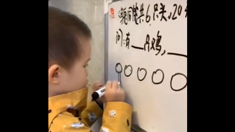 小男孩2分钟巧解鸡兔同笼问题 困扰多年的问题终于让3岁孩子讲懂了......