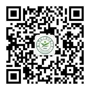 图片 3.png