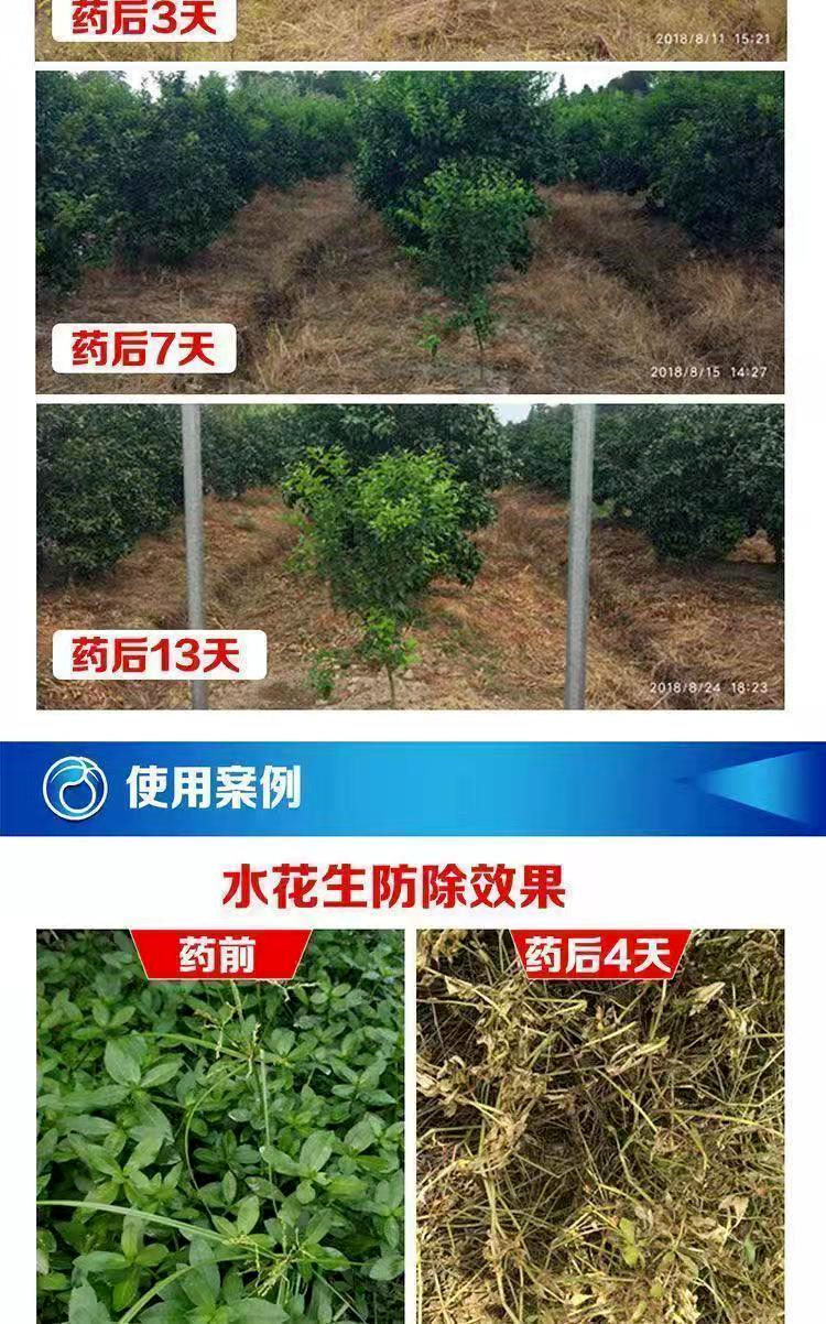 野老除草剂有效时间多长_老草除草剂_野老除草剂