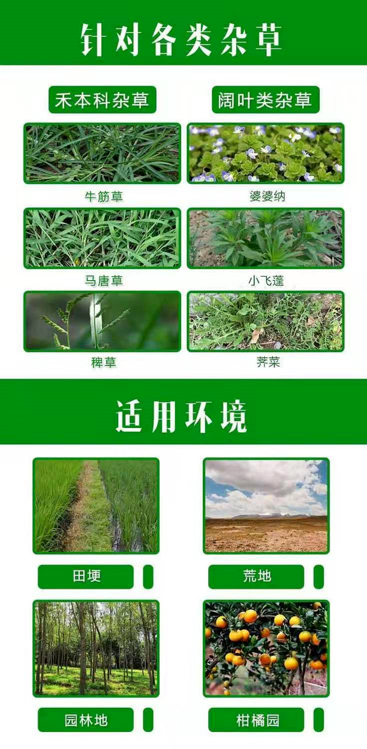 野老除草剂有效时间多长_野老除草剂_老草除草剂